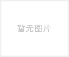 南宁广西硅PU优惠供应 硅PU塑胶球场专业施工厂家定制