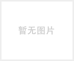 河池硅PU球场施工、成冠体育、硅pu球场施工涂料